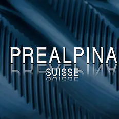 Prealpina Suisse GmbH Werkzeuge und Maschinenausrüstungen